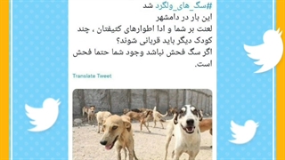 مردم چه می گویند؟