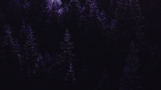 استوری موشن تبلیغاتی