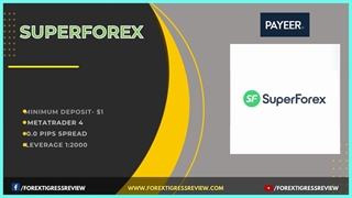10 Forex Brokers Accepts Payeer - Malaysia Forex Trading
