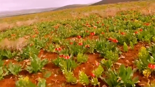 طبیعت چهارمحال وبختیاری