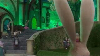 خرگوش مرغی و همستر تاریکی