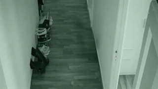 دو نمونه از ضبط تصویر ارواح در روز