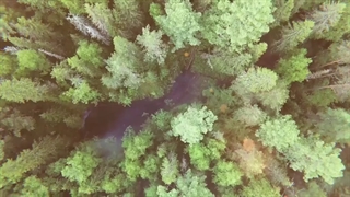 فصل سوم انیمه Dr. Stone