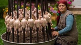 آشپزی در طبیعت : مرغ بریان - موج کره ای