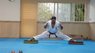 آموزش کیوکوشین فارسی و حرفه ای ( اندروید )