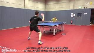 نقد و بررسی تخصصی چوب تیموبول ALC باترفلای