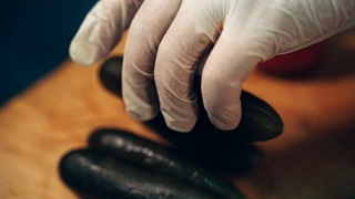 تیزر تبلیغاتی کافه رستوران روف تاپ ( گروه تبلیغاتی گراف )