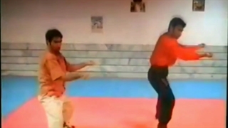 خط ۳ کونگ فو توآ توسط استاد بابک جوادی