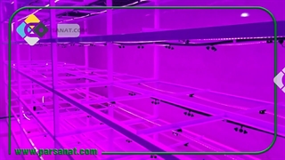 سازه کشت علوفه هیدروپونیک پارس صنعت