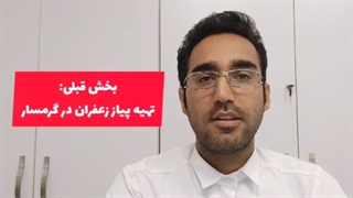 بهترین زمان کاشت زعفران