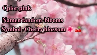 دومین سولوی کمپانی استارت