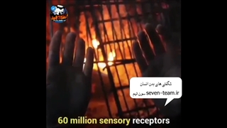 حقایق عجیب در مورد بدن انسان