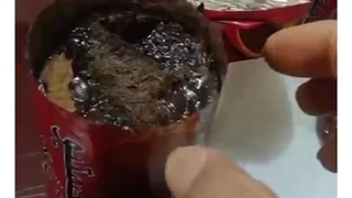 پَشم شکلاتی