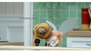 پشه خواننده میشود!