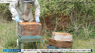 روش های نوین زنبورداری -  دنیای زنبور عسل - برپایی کلونی سلول ساز