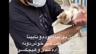 صاحب خانواده شد