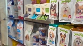 معرفی فروشگاه ایران زمین | بهترین پت شاپ آنلاین