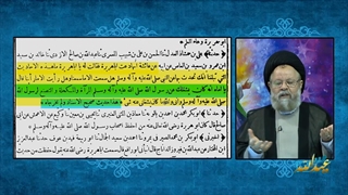 عایشه در زمان پیامبر به جای یادگرفتن و علم آموزی از پیامبر مشغول چه کارهایی بود ؟