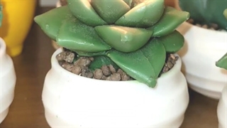 فروشگاه لوازم دکوری سناتور - بازار صالح آباد - قسمت اول