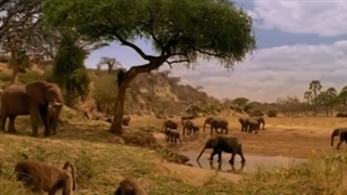 Michael Jackson - Earth Song