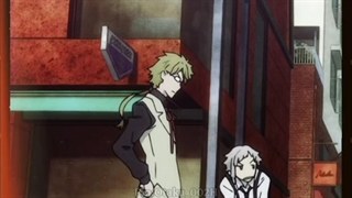 سگ های ولگرد بانگو