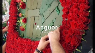 باکس گل لاکچری رز 1000 شاخه قلب و عاشقانه