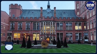 از پیشرفت در کاشت ایمپلنت مغزی تا حافظه شگفت‌آور خفاش