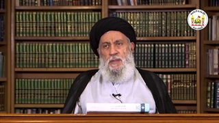 دروس فی سیرة النبی (ص) واهل بیته (ع) _ 19 _ العلامة المحقق السید سامی البدری