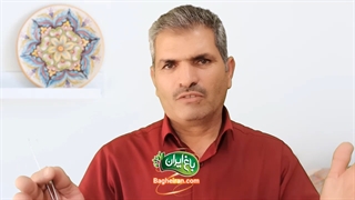 تفاوت زرشک دانه اناری و پفکی چیست؟ (مقایسه از نظر رنگ و کیفیت)