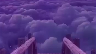 گرانچ کاوایی_کیوت بید