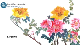 آموزش فنگ شویی