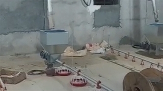 شرکت تک طیور فقیه لو