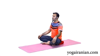 آموزش یوگا جلسه پنجم