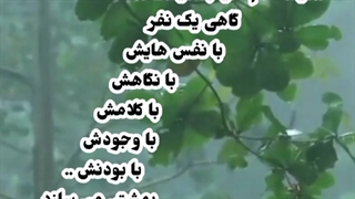 کلیپ ارامش بخش . روژین روناسی