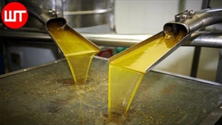 فرایند تولید روغن زیتون - موج کره ای