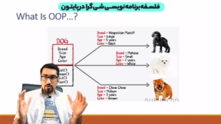 آموزش شی گرایی در پایتون | 4 رکن اصلی شی گرایی