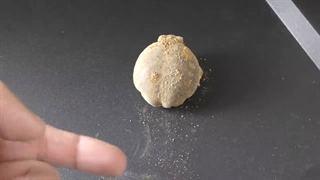 قورباغه پوشیده از آرد سویا