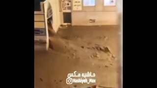 اولین فیلم ترسناک از لحظه ورود سیل به امامزاده داوود