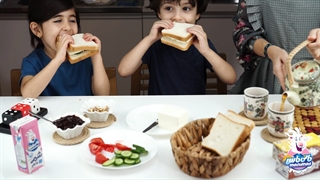 پنیرلاکتیکی مانی ماس