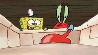 روز مرخصی اختاپوس