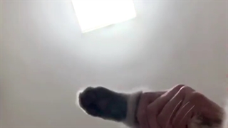 کلیپ خنده دار.گربه ناناز