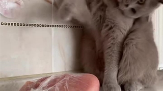 وقتی یه چیز آشنای غریب میبینی ☺