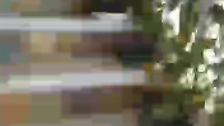 سبک زندگی پایدار(بسته بندی در فریزر)