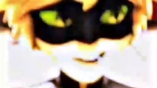 میراکلس|کت نوار یا لیدی نوار