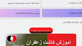 آموزش 0 تا 100 کاشت زعفران
