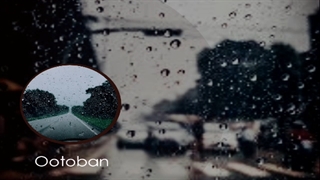 Samyar Otooban