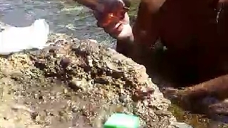 روز واقعه(هیهات من الذله)