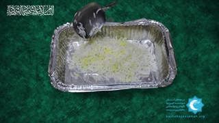 در ماه محرم نذر بچه های آسمان کنیم (دریافت کمک های نقدی و غیرنقدی)