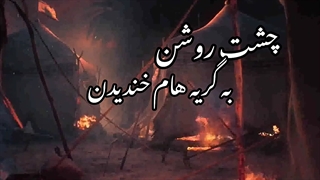 امان از دل زینب