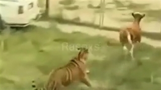 واهایی چ باحال بود:)